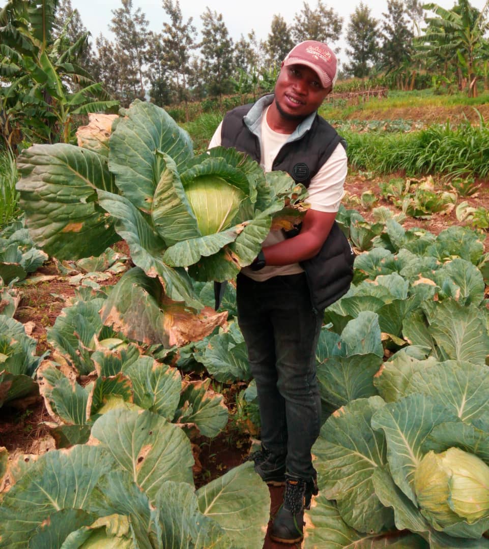 Fresh Vegetable Farm